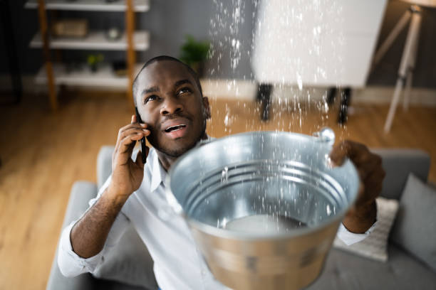 Best Mold removal after water damage  in Noble, OK