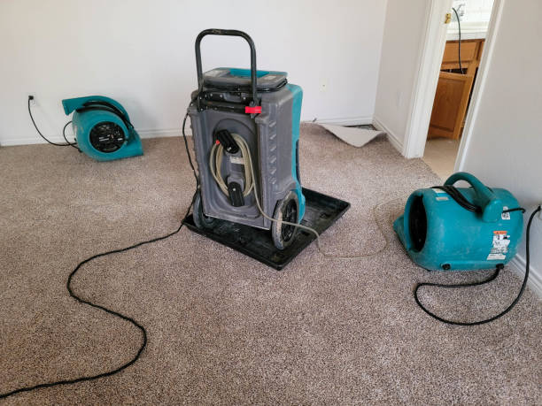 Best Water damage restoration specialists  in Noble, OK
