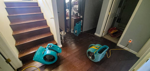 Best Professional water damage repair  in Noble, OK