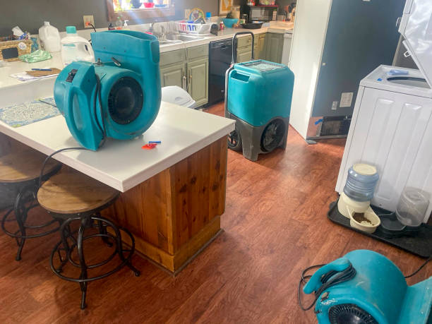 Best Water damage restoration near me  in Noble, OK