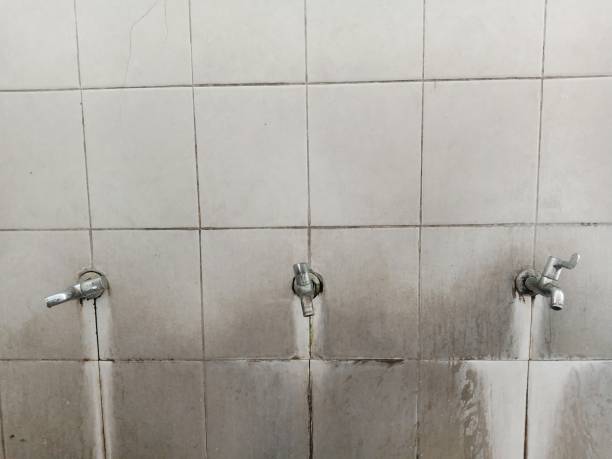 Best Water damage contractors near me  in Noble, OK